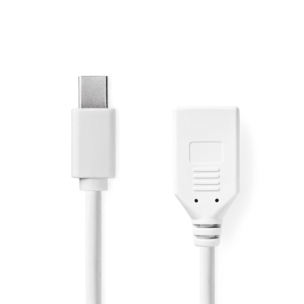 Mini DisplayPort-Kabel DisplayPort 1.2 Mini-DisplayPort Male DisplayPort Female 21.6 Gbps Vernikkeld 0.20 m Rond PVC Wit Doos