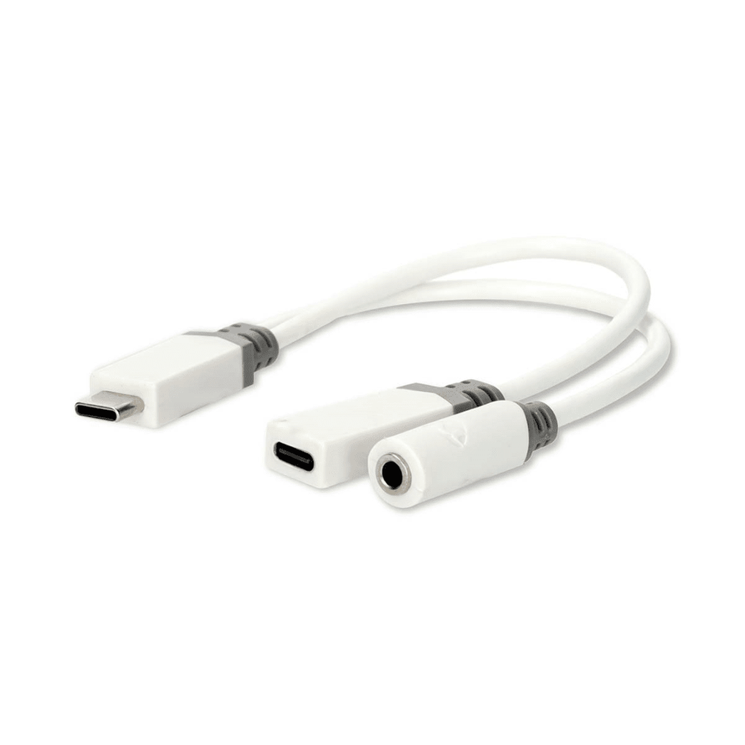 USB-C Adapter USB 2.0 USB-C Male USB-C Female / 3,5 mm Female 0.10 m Rond Verguld PVC Wit Doos